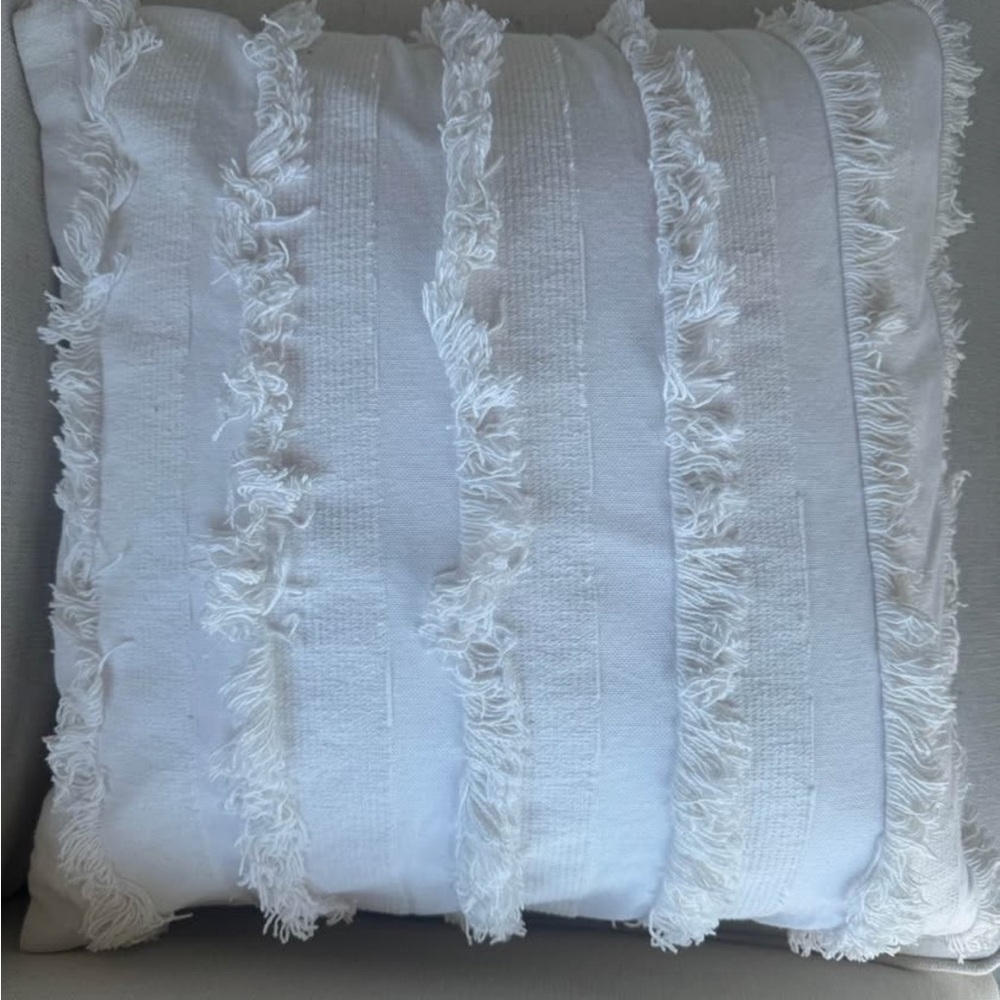 Pottery Barn Throw Pillow - West Elm Covers
